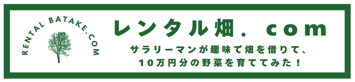 素人がレンタル畑を借りて10万円分の野菜を作ってみた！