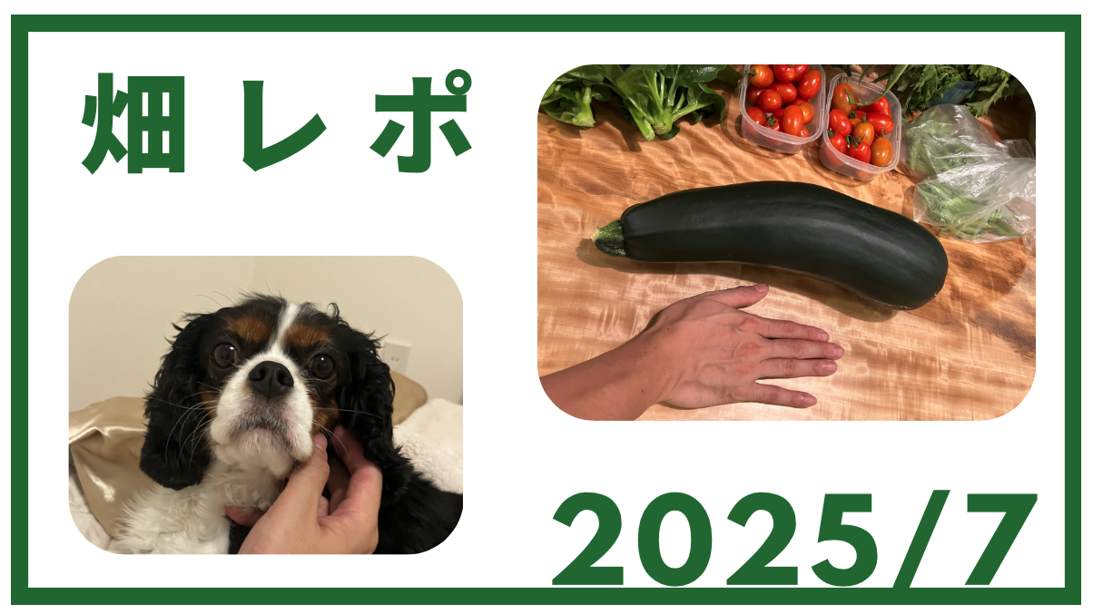 2025-07